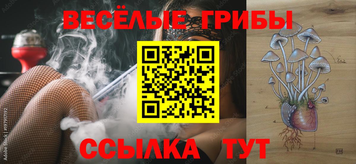 Галлюциногенные грибы Psilocybe  Псилоцибиновые грибы мухоморы  Североморск  Вход с VPN 